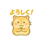 ず～つと使える☆かわいいハムスター☆（個別スタンプ：8）