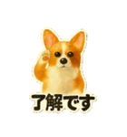 日常に使える！コーギーのスタンプ！（個別スタンプ：1）