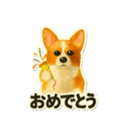 日常に使える！コーギーのスタンプ！（個別スタンプ：4）