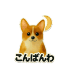 日常に使える！コーギーのスタンプ！（個別スタンプ：13）