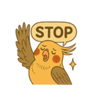 頑張れオカメインコ（個別スタンプ：4）