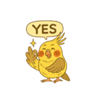 頑張れオカメインコ（個別スタンプ：5）