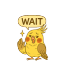 頑張れオカメインコ（個別スタンプ：8）