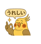 頑張れオカメインコ（個別スタンプ：9）