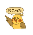 頑張れオカメインコ（個別スタンプ：11）