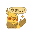 頑張れオカメインコ（個別スタンプ：12）