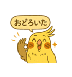 頑張れオカメインコ（個別スタンプ：13）
