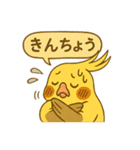 頑張れオカメインコ（個別スタンプ：14）