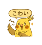 頑張れオカメインコ（個別スタンプ：15）