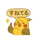 頑張れオカメインコ（個別スタンプ：16）