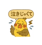 頑張れオカメインコ（個別スタンプ：19）