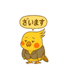 頑張れオカメインコ（個別スタンプ：22）