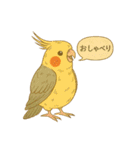 頑張れオカメインコ（個別スタンプ：26）