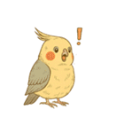 頑張れオカメインコ（個別スタンプ：27）