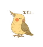 頑張れオカメインコ（個別スタンプ：29）