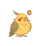 頑張れオカメインコ（個別スタンプ：30）