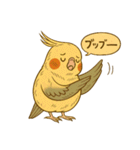 頑張れオカメインコ（個別スタンプ：34）