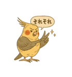 頑張れオカメインコ（個別スタンプ：35）