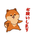 [お願いします専用]ポメラニアン1（個別スタンプ：1）
