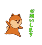[お願いします専用]ポメラニアン1（個別スタンプ：3）