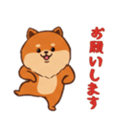 [お願いします専用]ポメラニアン1（個別スタンプ：8）