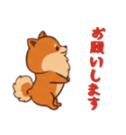 [お願いします専用]ポメラニアン1（個別スタンプ：10）