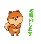[お願いします専用]ポメラニアン1（個別スタンプ：11）