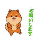 [お願いします専用]ポメラニアン1（個別スタンプ：12）