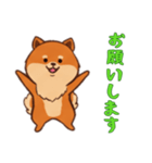 [お願いします専用]ポメラニアン1（個別スタンプ：13）