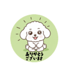まるまるのわんこ1（個別スタンプ：4）