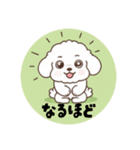 まるまるのわんこ1（個別スタンプ：11）