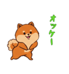 [オッケー専用]ポメラニアン1（個別スタンプ：1）