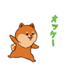 [オッケー専用]ポメラニアン1（個別スタンプ：3）