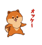 [オッケー専用]ポメラニアン1（個別スタンプ：4）