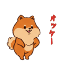 [オッケー専用]ポメラニアン1（個別スタンプ：5）