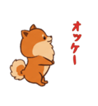 [オッケー専用]ポメラニアン1（個別スタンプ：7）