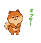 [オッケー専用]ポメラニアン1（個別スタンプ：8）