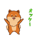 [オッケー専用]ポメラニアン1（個別スタンプ：14）
