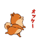 [オッケー専用]ポメラニアン1（個別スタンプ：16）