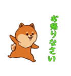 [お帰りなさい専用]ポメラニアン1（個別スタンプ：1）
