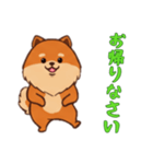 [お帰りなさい専用]ポメラニアン1（個別スタンプ：3）