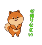 [お帰りなさい専用]ポメラニアン1（個別スタンプ：4）