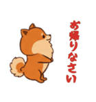 [お帰りなさい専用]ポメラニアン1（個別スタンプ：5）