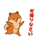 [お帰りなさい専用]ポメラニアン1（個別スタンプ：6）