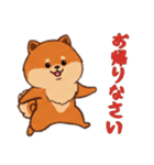 [お帰りなさい専用]ポメラニアン1（個別スタンプ：8）