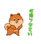 [お帰りなさい専用]ポメラニアン1（個別スタンプ：9）