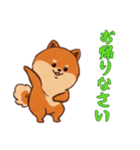 [お帰りなさい専用]ポメラニアン1（個別スタンプ：10）