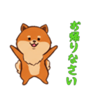 [お帰りなさい専用]ポメラニアン1（個別スタンプ：11）