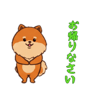 [お帰りなさい専用]ポメラニアン1（個別スタンプ：12）