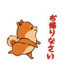 [お帰りなさい専用]ポメラニアン1（個別スタンプ：13）
